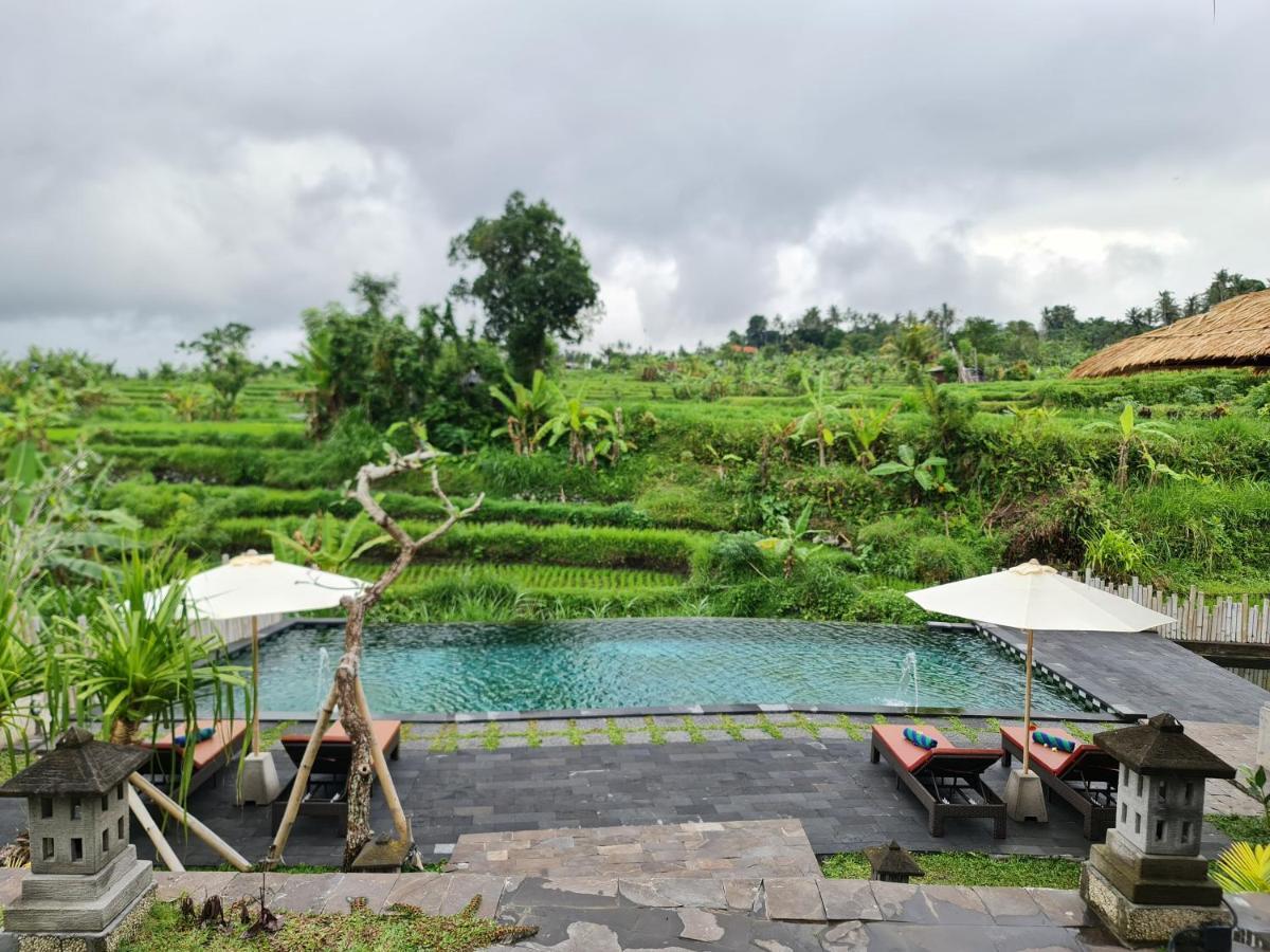 Alamgangga Villas Tirta Gangga Karangasem エクステリア 写真