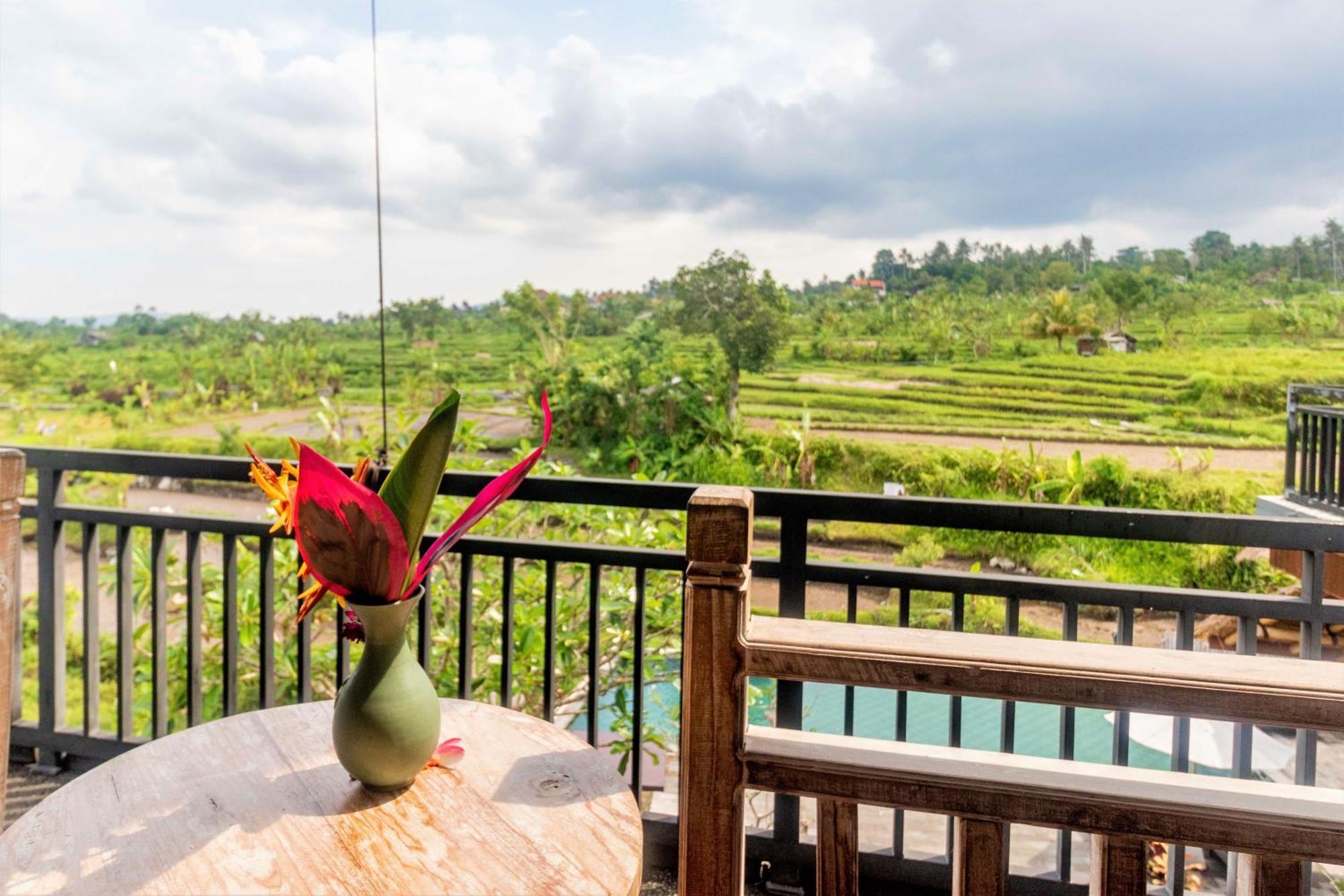 Alamgangga Villas Tirta Gangga Karangasem エクステリア 写真